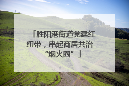 胜阳港街道党建红纽带，串起商居共治 “烟火圈”