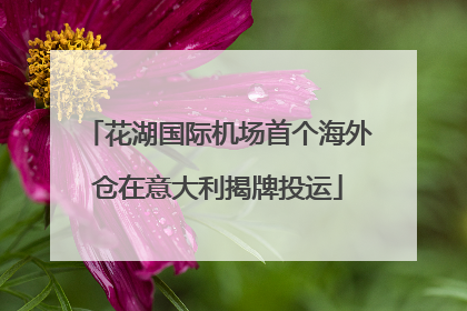 花湖国际机场首个海外仓在意大利揭牌投运