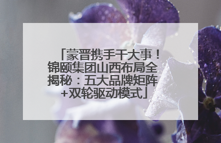 蒙晋携手干大事！锦颐集团山西布局全揭秘：五大品牌矩阵+双轮驱动模式