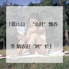 蓝山县：“金叶”飘香季 烟农赶“烤”忙