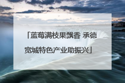 蓝莓满枝果飘香 承德宽城特色产业助振兴