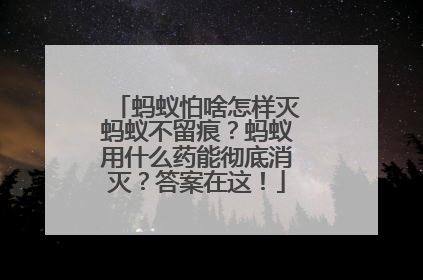 蚂蚁怕啥怎样灭蚂蚁不留痕？蚂蚁用什么药能彻底消灭？答案在这！