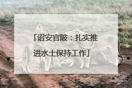 诏安官陂：扎实推进水土保持工作