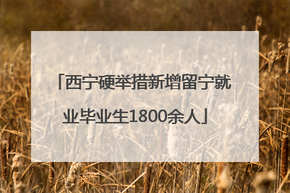 西宁硬举措新增留宁就业毕业生1800余人