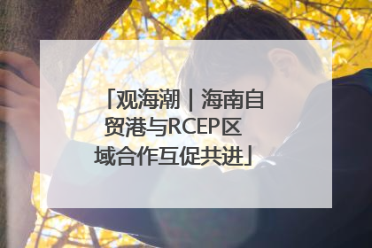 观海潮｜海南自贸港与RCEP区域合作互促共进