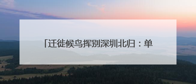 迁徙候鸟挥别深圳北归：单日监测数量最高突破2万只