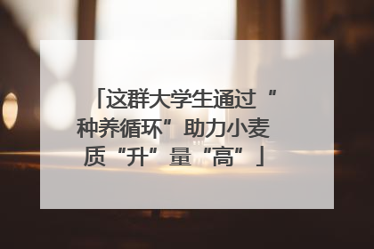 这群大学生通过“种养循环”助力小麦质“升”量“高”