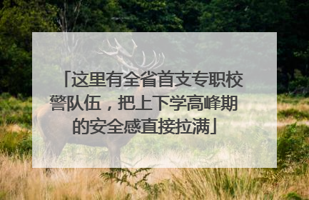 这里有全省首支专职校警队伍，把上下学高峰期的安全感直接拉满