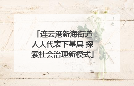 连云港新海街道：人大代表下基层 探索社会治理新模式