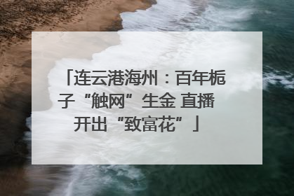 连云港海州：百年栀子“触网”生金 直播开出“致富花”