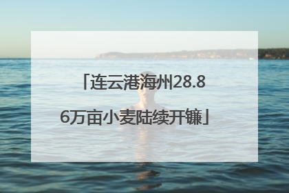 连云港海州28.86万亩小麦陆续开镰