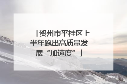 贺州市平桂区上半年跑出高质量发展“加速度”