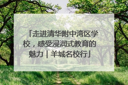 走进清华附中湾区学校，感受浸润式教育的魅力｜羊城名校行