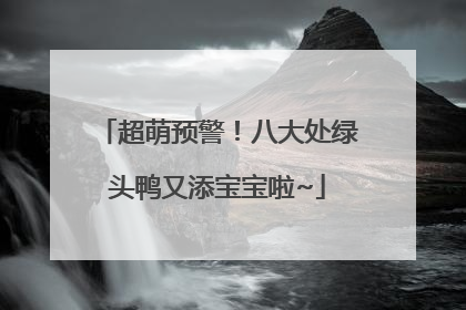 超萌预警！八大处绿头鸭又添宝宝啦~