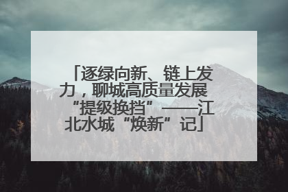 逐绿向新、链上发力，聊城高质量发展“提级换挡”——江北水城“焕新”记
