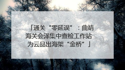 通关“零延误”：曲靖海关会泽集中查检工作站为云品出海架“金桥”