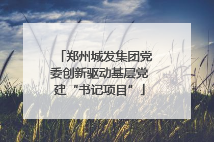 郑州城发集团党委创新驱动基层党建“书记项目”