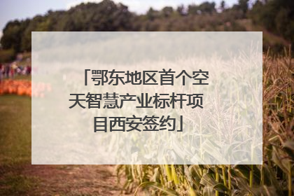 鄂东地区首个空天智慧产业标杆项目西安签约