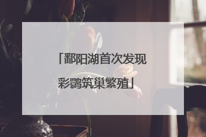 鄱阳湖首次发现彩鹮筑巢繁殖