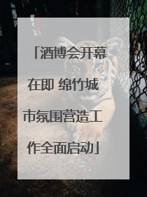 酒博会开幕在即 绵竹城市氛围营造工作全面启动