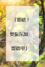 重磅！樊振东加盟德甲