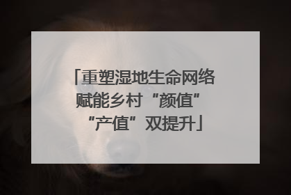 重塑湿地生命网络 赋能乡村“颜值”“产值”双提升