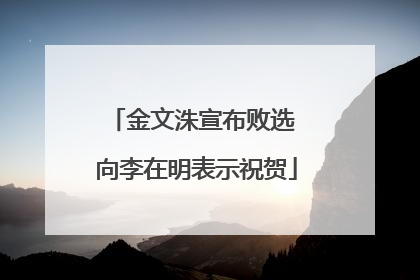 金文洙宣布败选 向李在明表示祝贺