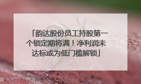韵达股份员工持股第一个锁定期将满！净利润未达标或为低门槛解锁