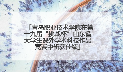青岛职业技术学院在第十九届“挑战杯”山东省大学生课外学术科技作品竞赛中斩获佳绩