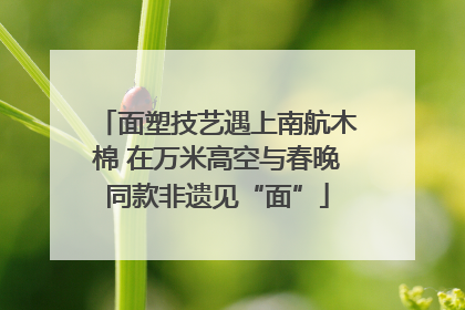 面塑技艺遇上南航木棉 在万米高空与春晚同款非遗见“面”