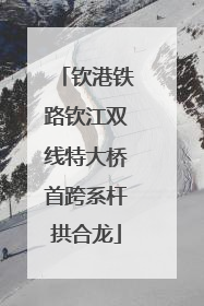 钦港铁路钦江双线特大桥首跨系杆拱合龙
