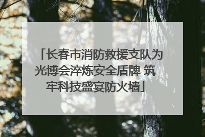长春市消防救援支队为光博会淬炼安全盾牌 筑牢科技盛宴防火墙