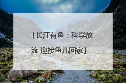 长江有鱼：科学放流 迎接鱼儿回家