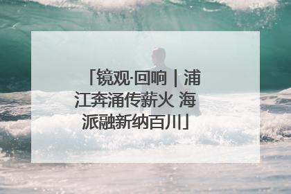 镜观·回响｜浦江奔涌传薪火 海派融新纳百川
