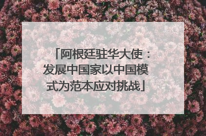 阿根廷驻华大使：发展中国家以中国模式为范本应对挑战