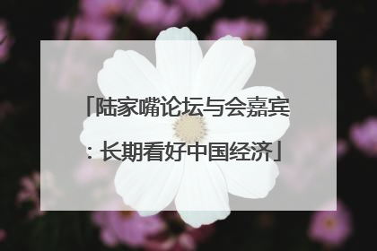 陆家嘴论坛与会嘉宾：长期看好中国经济
