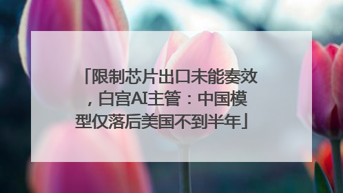 限制芯片出口未能奏效，白宫AI主管：中国模型仅落后美国不到半年