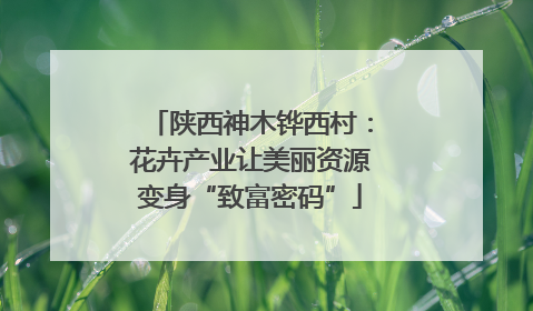 陕西神木铧西村：花卉产业让美丽资源变身“致富密码”