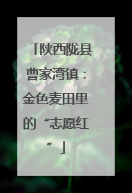 陕西陇县曹家湾镇：金色麦田里的“志愿红”