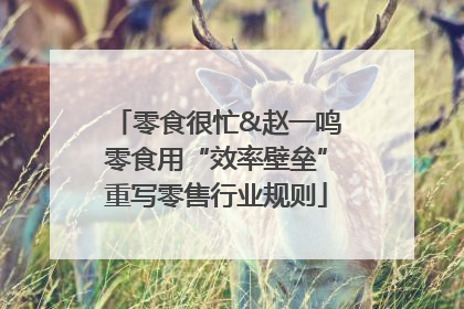 零食很忙&赵一鸣零食用“效率壁垒”重写零售行业规则