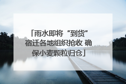 雨水即将“到货” 宿迁各地组织抢收 确保小麦颗粒归仓