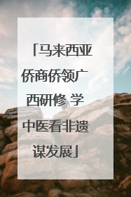 马来西亚侨商侨领广西研修 学中医看非遗谋发展