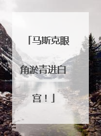 马斯克眼角淤青进白宫！