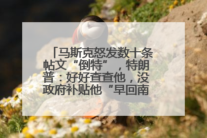 马斯克怒发数十条帖文“倒特”，特朗普：好好查查他，没政府补贴他“早回南非老家”了