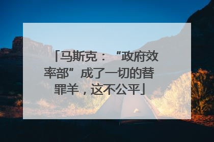 马斯克：“政府效率部”成了一切的替罪羊，这不公平