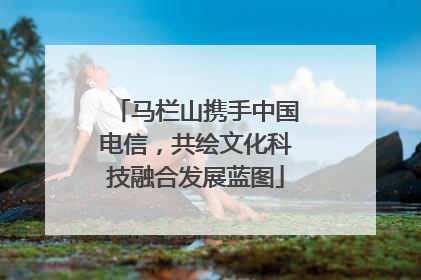 马栏山携手中国电信，共绘文化科技融合发展蓝图