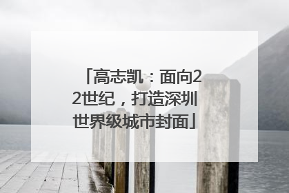 高志凯：面向22世纪，打造深圳世界级城市封面