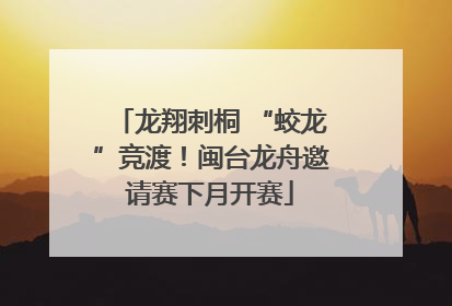 龙翔刺桐 “蛟龙”竞渡！闽台龙舟邀请赛下月开赛