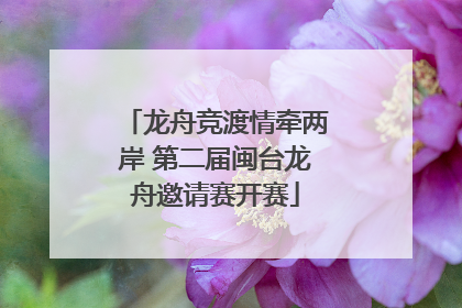 龙舟竞渡情牵两岸 第二届闽台龙舟邀请赛开赛