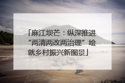 麻江坝芒：纵深推进“两清两改两治理”绘就乡村振兴新图景
